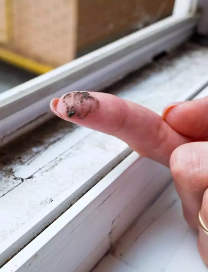 Mold can pose health risks if left untreated (Getty Stock Images)