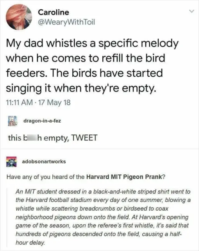 Science memes about birds learning a melody and a Harvard-MIT pigeon prank shared on a Facebook page.