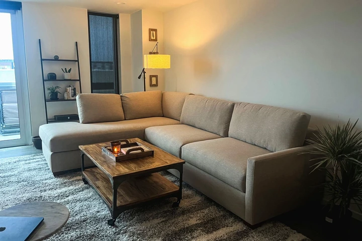 The Apt2b Tuxedo 2-Piece Sleeper Sectional in a living room