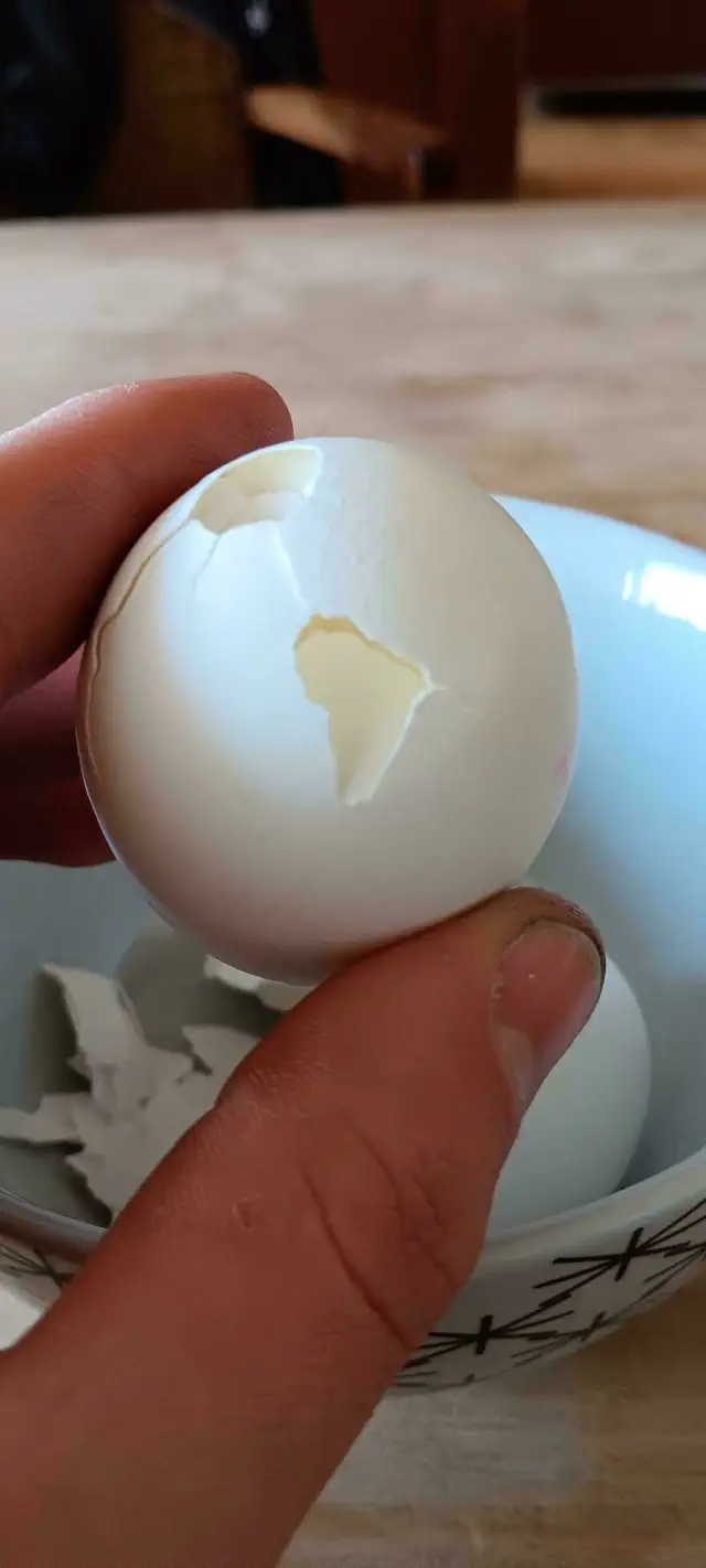 Cracked egg shell resembling continents, held over a bowl.