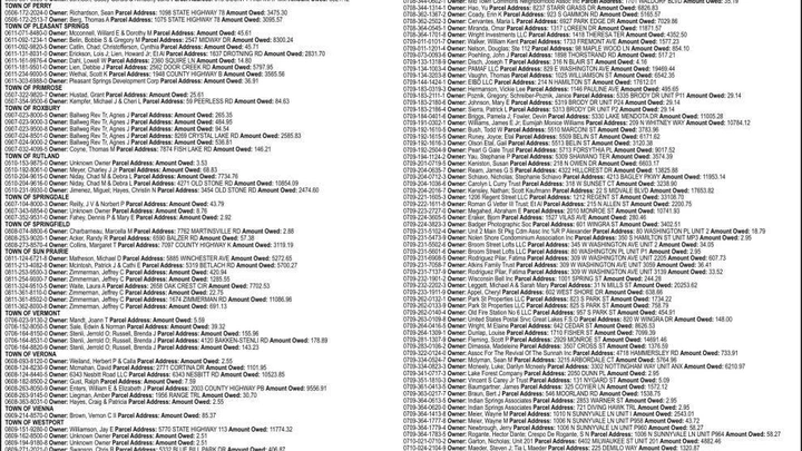 DANE COUNTY TREASURER - Advertisement dated January 15, 2025.