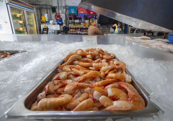 Gulf Shrimp