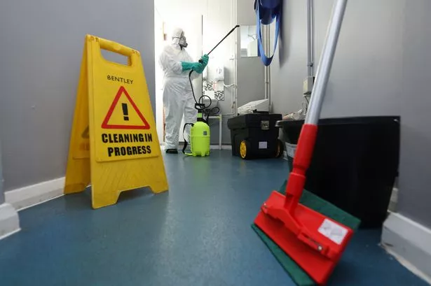 Pest control firm Rentokil reports lower profit after 'challenging year'
