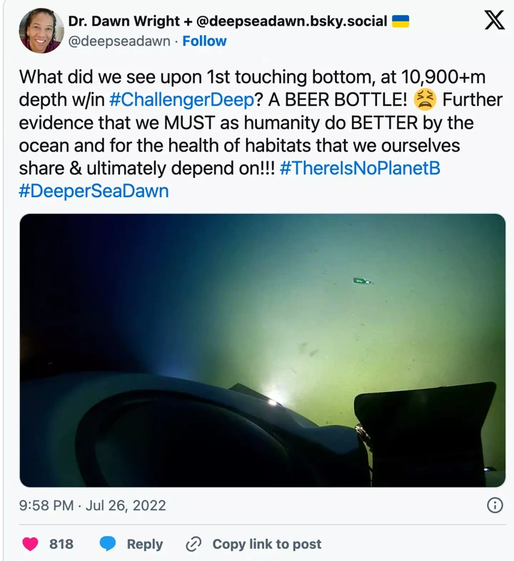 The oceanographer turned to social media to announce the discoveries (Twitter/@deepseadawn)
