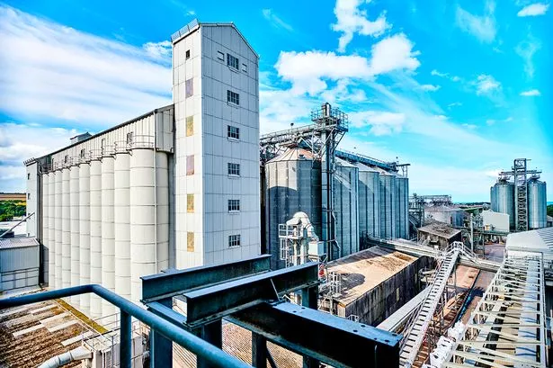 Turnover tops £300m at Northumberland family firm Simpsons Malt
