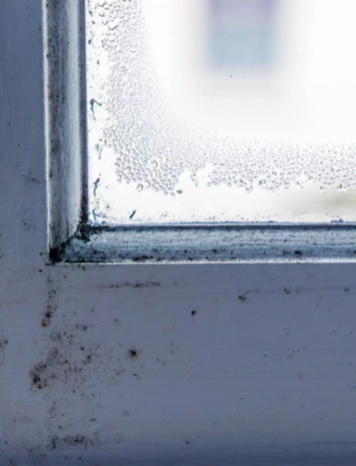 Approximately two million individuals in England have it present in their households. (Getty Stock Images)