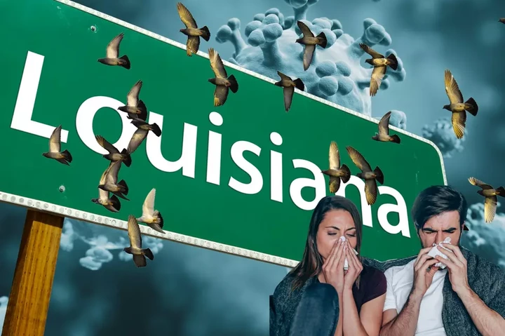 What The CDC Wants You To Know About Louisiana’s Bird Flu Death