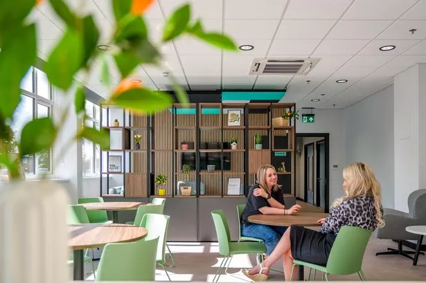 Ceiling manufacturer Zentia unveils £2m investment across North East sites