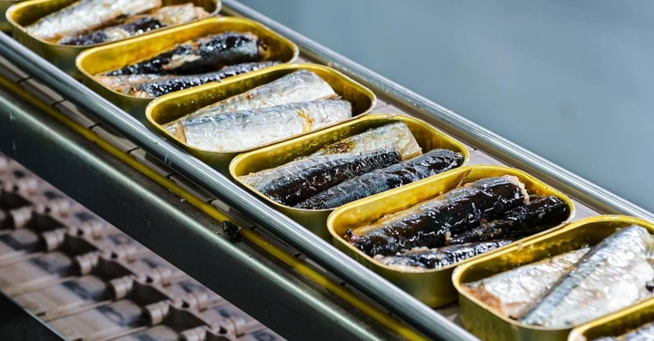 tin cans with fish