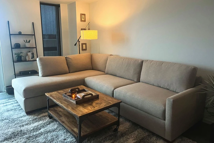 The Apt2b Tuxedo 2-Piece Sleeper Sectional in a living room