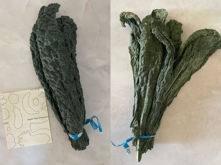 Photos of kale after 1 to 2 weeks of storage in the fridge with FreshPaper