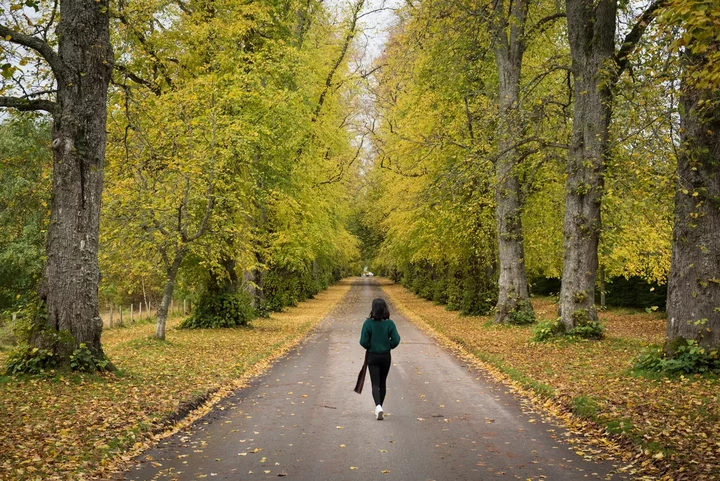 Taking 10,000 steps each day could offer remarkable health advantages (Getty Stock Images)