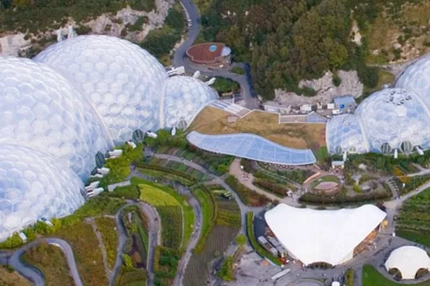 Eden Project losses deepen as Cornwall attraction prepares to develop Morecambe site