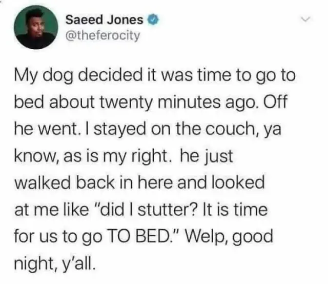 Funny science meme about a dog wanting to go to bed, shared by Saeed Jones.