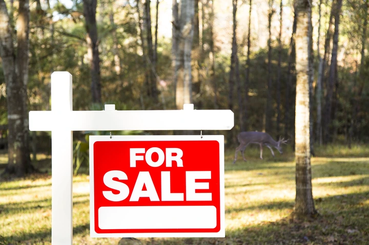 A &quot;For Sale&quot; sign stands in a wooded area with a deer in the background