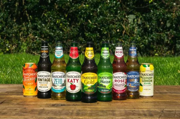 Thatchers Cider secures future of West Country supply with huge new orchard