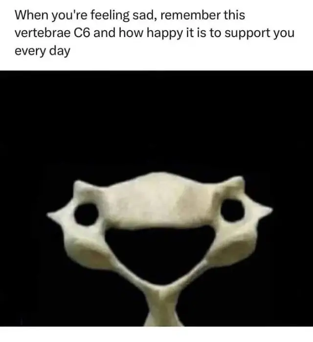 Science-Funniest-Pics-Jokes