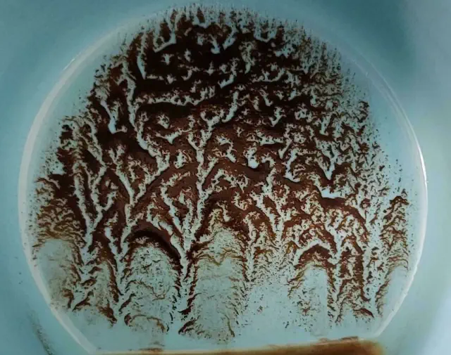 Rust pattern in a pan resembling a forest, illustrating things that look like other things.