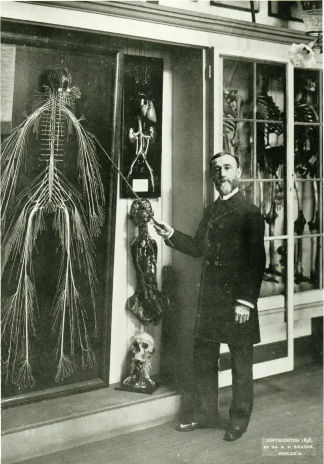 A man in formal attire points to anatomical displays in a museum setting