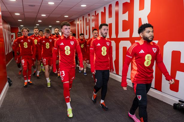 FAW post strong financials despite failure to qualify for Euro 24