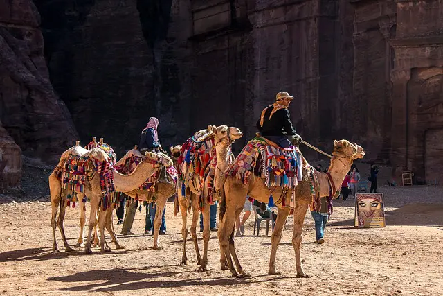 **Top 5 Reasons to Opt for a Group Tour on Your Next Adventure**
