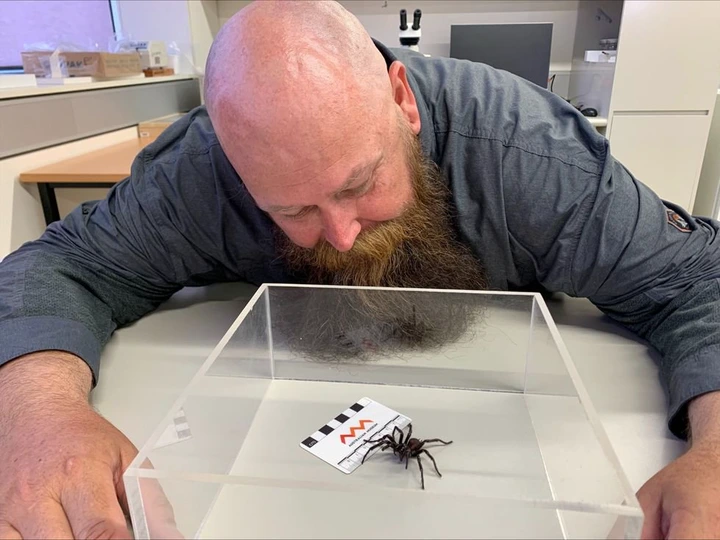 \u200b\u200bArachnologist Kane Christensen first encountered the spider in 2018.