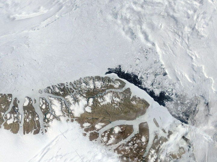 Crazy Like a Fox: Trump’s Greenland Pitch