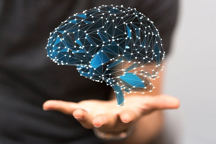 brain