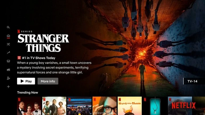 Like most streaming services, Netflix has recently raised its prices.